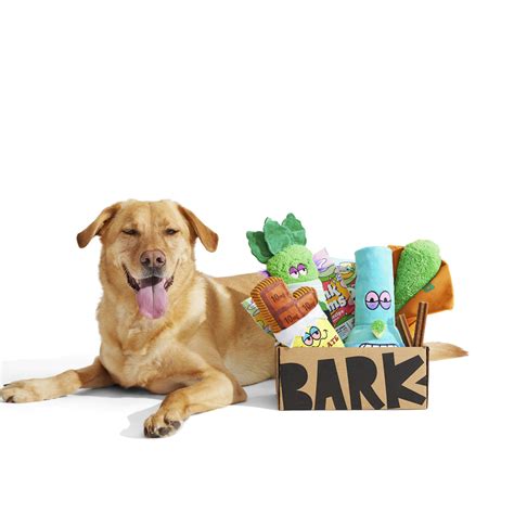 Barkbox Toys Only Box | Wow Blog