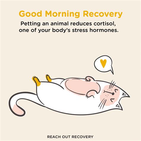 Recovery Quotes: Pet An Animal - Reach Out Recovery