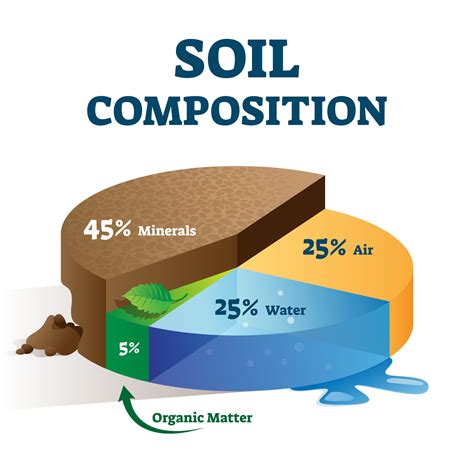 Soil is the thin layer of material covering the earth’s surface