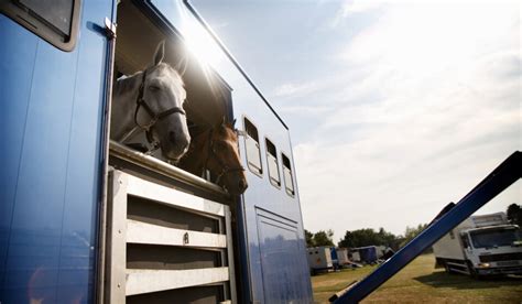 Average Horse Trailer Weights (with Examples) - Helpful Horse Hints