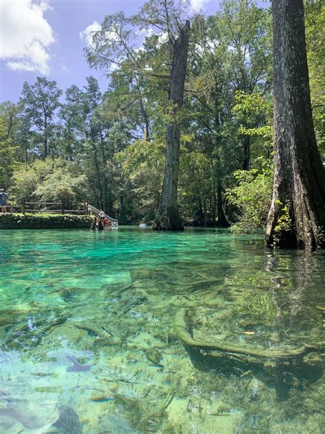 Visiting Ponce De Leon Springs State Park in Florida - The Katherine ...