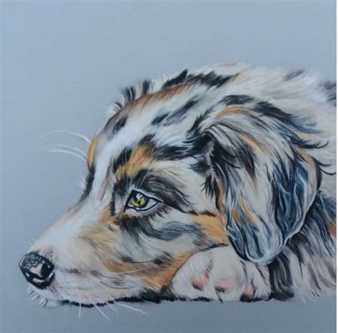 Pastel portrait | Animal portraits art, Dog canvas art, Australian ...