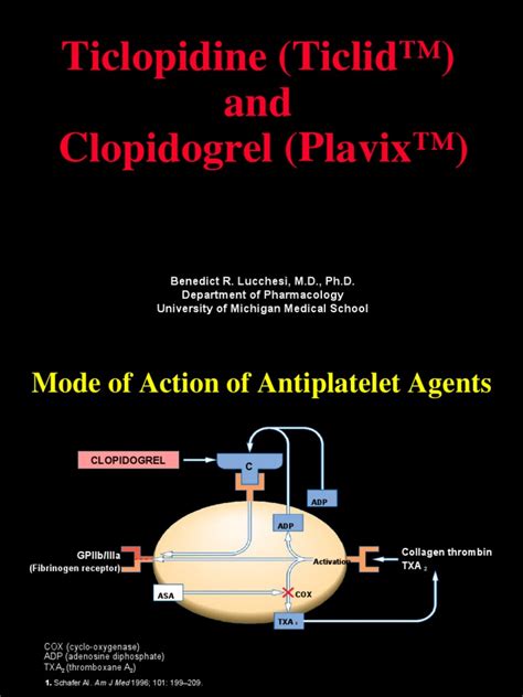 Ticlopidine Clopidogrel | PDF | Platelet | Medical Treatments