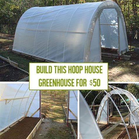 How to Build a Hoop House Greenhouse for $50 | Build a greenhouse ...