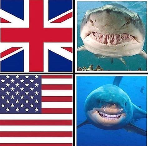 British Vs American Sharks - Teeth Meme - Shut Up And Take My Money