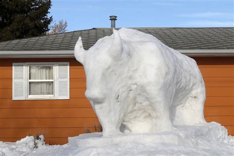 Giant bison snow creation - Jamestown Sun | News, weather, sports from ...