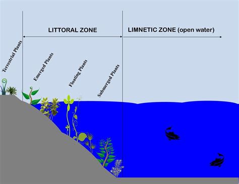 Crowded Coasts - THE GEOGRAPHER ONLINE