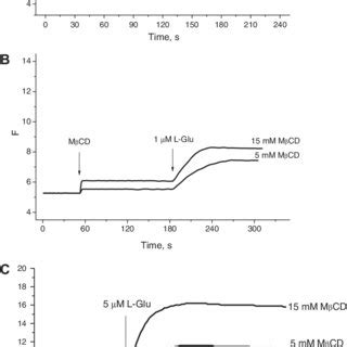 Glutamate dehydrogenase assay. Rabbit platelets (0.2 mg protein/ml ...