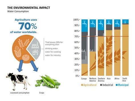 Agriculture Part 1 - Environmental Impact & Urban Solutions | Vegan Amino