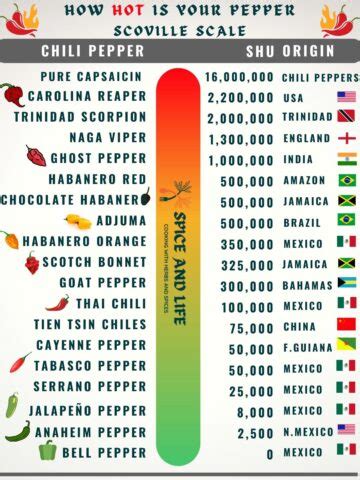 The Scoville Scale: A Comprehensive Guide | Spice and Life