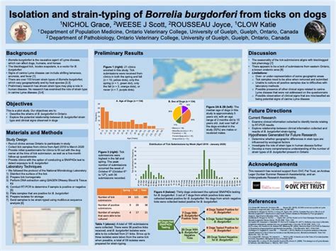 Poster and Presentation Guidelines – One Health Research Day