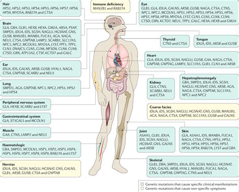 Lysosomal storage diseases.,Nature Reviews Disease Primers - X-MOL