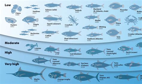 Mechanism for Accumulation of Mercury in Fish Discovered - Guardian ...