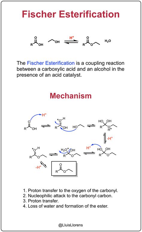 Fischer Esterification | Organic chemistry, Chemistry education ...