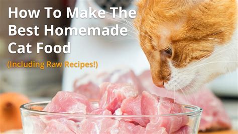 Best Homemade Cat Food Recipes | Raw or Cooked, Make Your Own!