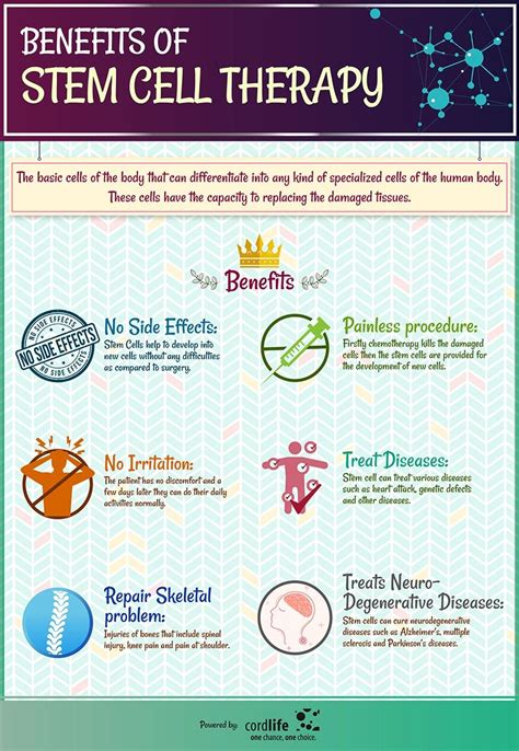 Benefits of Stem cell therapy | Infographics Stem Cell Supplements ...