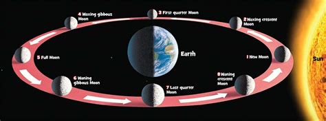 Phases-of-the-Moon-Orbit | Experihub Learning