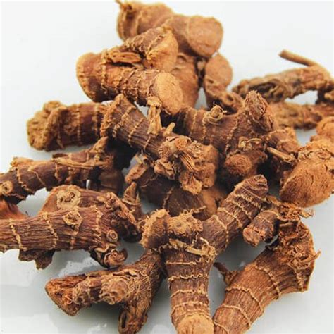 Galangal Root - Chinese Alpinia Officinarum Wholesale Exporter