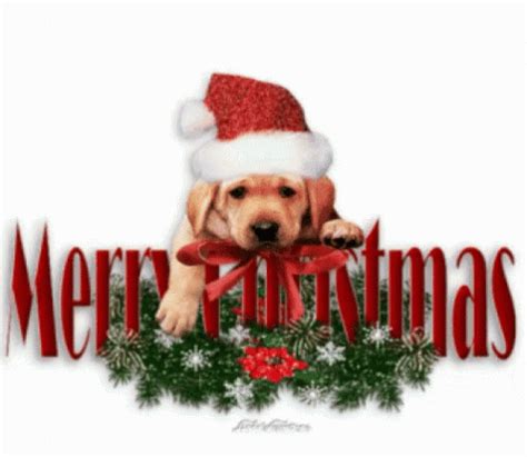 Merry Christmas christmas merry christmas christmas pictures christmas ...