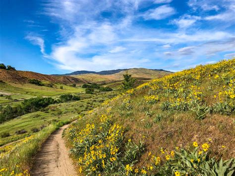 The Foothills Up Close - Southwest Idaho Travel Association