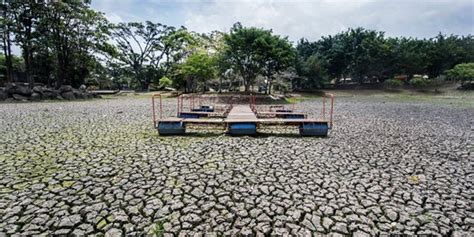 Dampak Musim Kemarau, Ribuan Hektare Lahan Pertanian di Banten Kekeringan