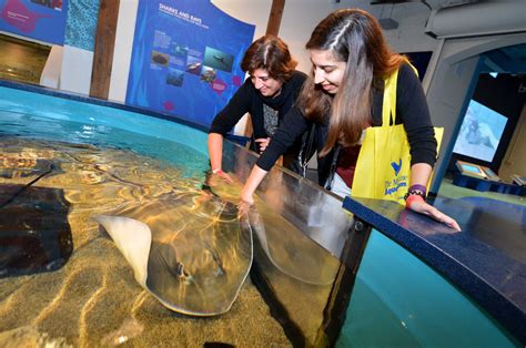 Maritime Aquarium celebrates 30 years of marine life magic