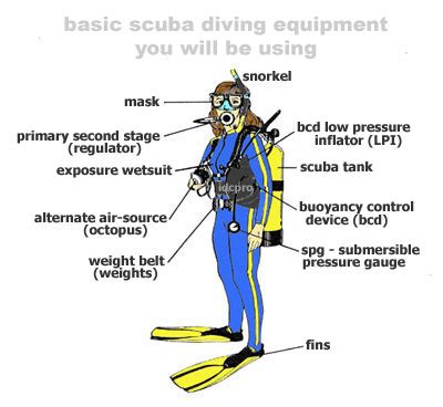 Scuba Gear Diagram