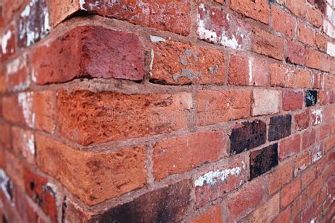 Brick Wall Corner Royalty Free Stock Photo - Image: 23839825