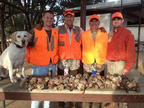 Quail Hunting - Guided Quail Hunts in Texas | Schmidt Double T Ranches