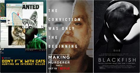 Top 10 Documentaries On Netflix Right Now (According To IMDb)