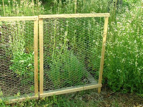 20 things to know about Vegetable garden fence chicken wire | Interior ...