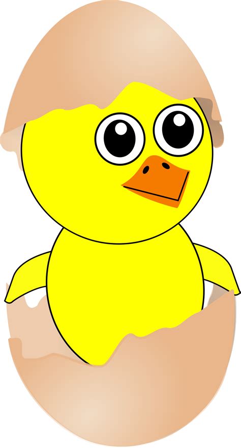 Free Chick Clipart Pictures - Clipartix