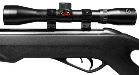 Most Popular This Year: Gamo Silent Cat Air Rifle - RifleZone.com