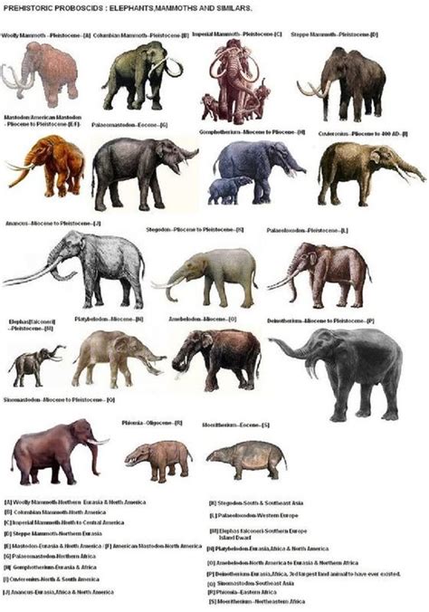 Prehistoric (Proboscids) | Extinct animals, Prehistoric animals ...