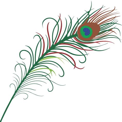 Peacock Feather Drawing Designs Peacock feather free vector we have ...