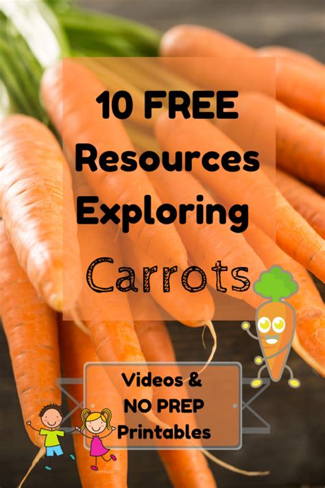 Carrots! Exploring Carrots with Kids! - STEMHAX