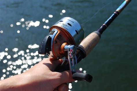 Fishing Poles For Beginners | 10 Beginner Rods For Newbie Anglers