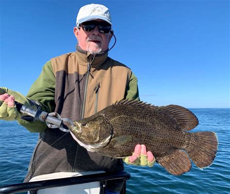 Tripletail Fishing Explained: 3 Ways | Great Days Outdoors