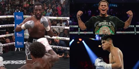 10 Best Boxers Of 2023, Ranked