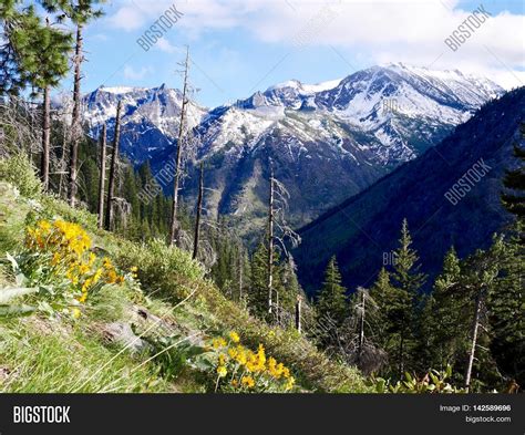 Cascade Mountains Snow Image & Photo (Free Trial) | Bigstock