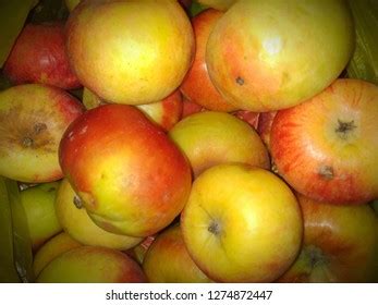 514 Kashmir Apple Images, Stock Photos & Vectors | Shutterstock