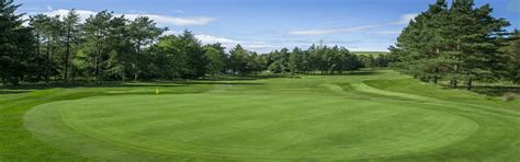 Hilton Park Gents Senior Team of 3 Scramble | mygolfdays