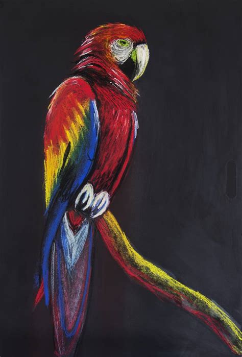 Scarlet Macaw Bird Drawing by Jonara Oliveira | Saatchi Art