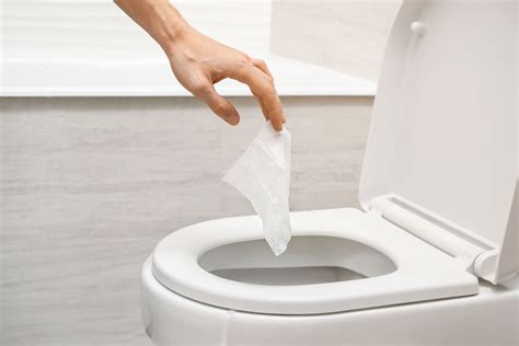 Are Flushable Wipes Really Flushable? - Brightly