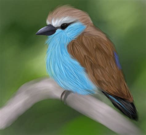 Realistic Bird Drawing by dinosauralicia on DeviantArt