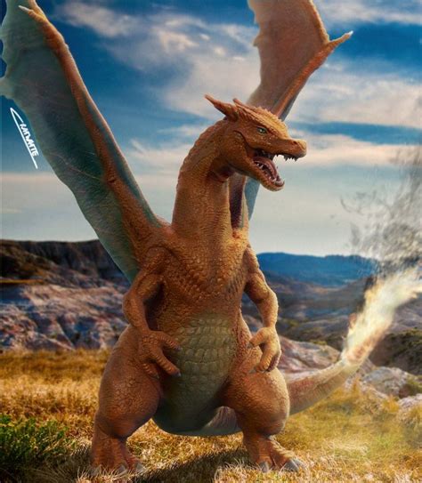 Realistic Charizard!! by Chenks-R | Pokemon, Pokemon realistic, Pokemon ...