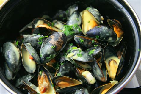 ♨ Recette de Moules marinières au Companion | Cuisine Blog