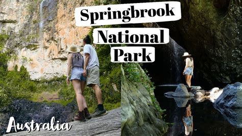 Highlights of Springbrook National Park! 🌲Waterfalls, Lookouts & Hikes ...