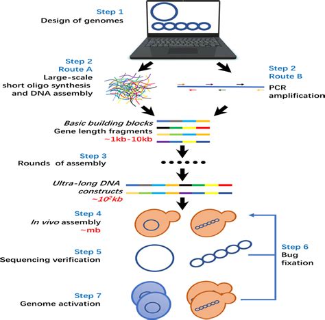 | Basic principle of data storage in DNA. Three key technologies are ...