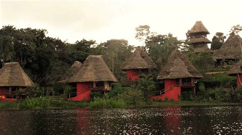 Yasuni National Park - Een complete gids voor bezoekers van Yasuni ...